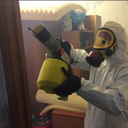 Уничтожение клопов в квартире. Тейково